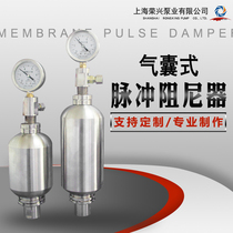 Stainless steel bladder pulse damper SS316L buffer RXMZ-QS series metering pump accessories