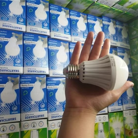 Special Led Bulb for Bioelectricity Testing, Micro-Electric Bioelectricity Testing, Silver Fiber Luminous Bio-Magnetic Energy