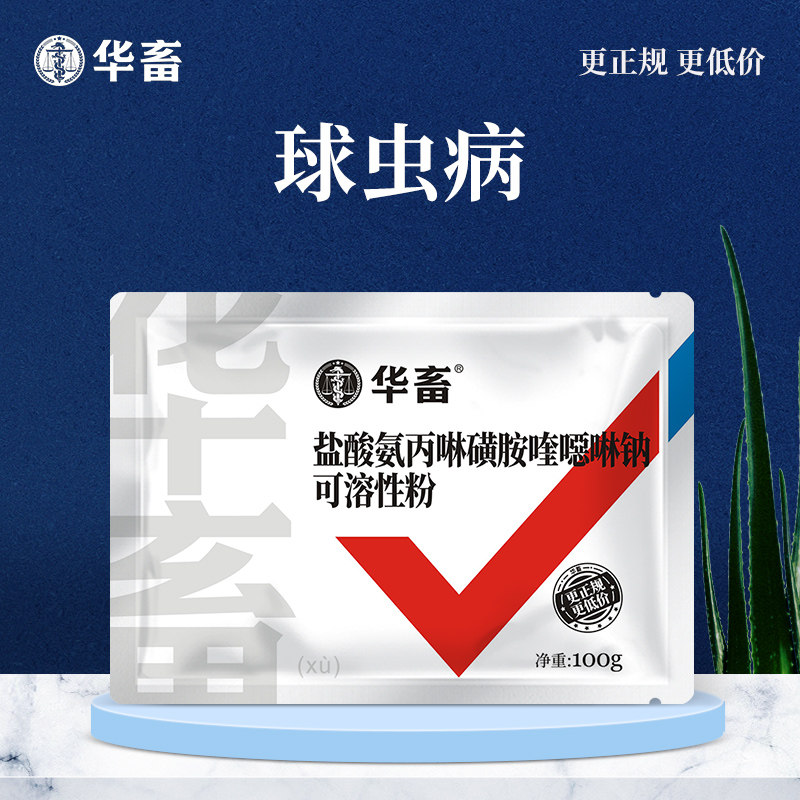 Chinese animal veterinary drug amprolium hydrochloride sulfaquinoxaline sodium soluble powder chicken duck goose pigeon poultry drug rabbit coccidiosis drug