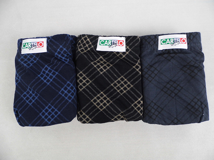2 gói cotton in quần nam phẳng chân cotton cotton nam đồ lót mùa xuân và mùa hè quần lót hộp quà tặng quần lót nữ thun lạnh siêu mỏng