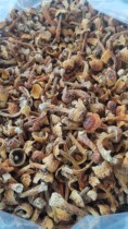 Welfare came to Yunnan farmer Ji Matsu 150 yuan a pound welfare price 130 a pound