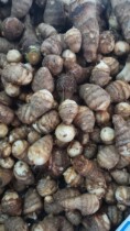 Yunnan Alpine Takayama 5 kg 27 9 kg 38 welfare benefits
