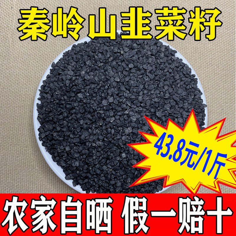 Qinling farmhouse leek seed Chinese herbal medicine male leek seed tea medicinal leek seed powder male long-lasting powder