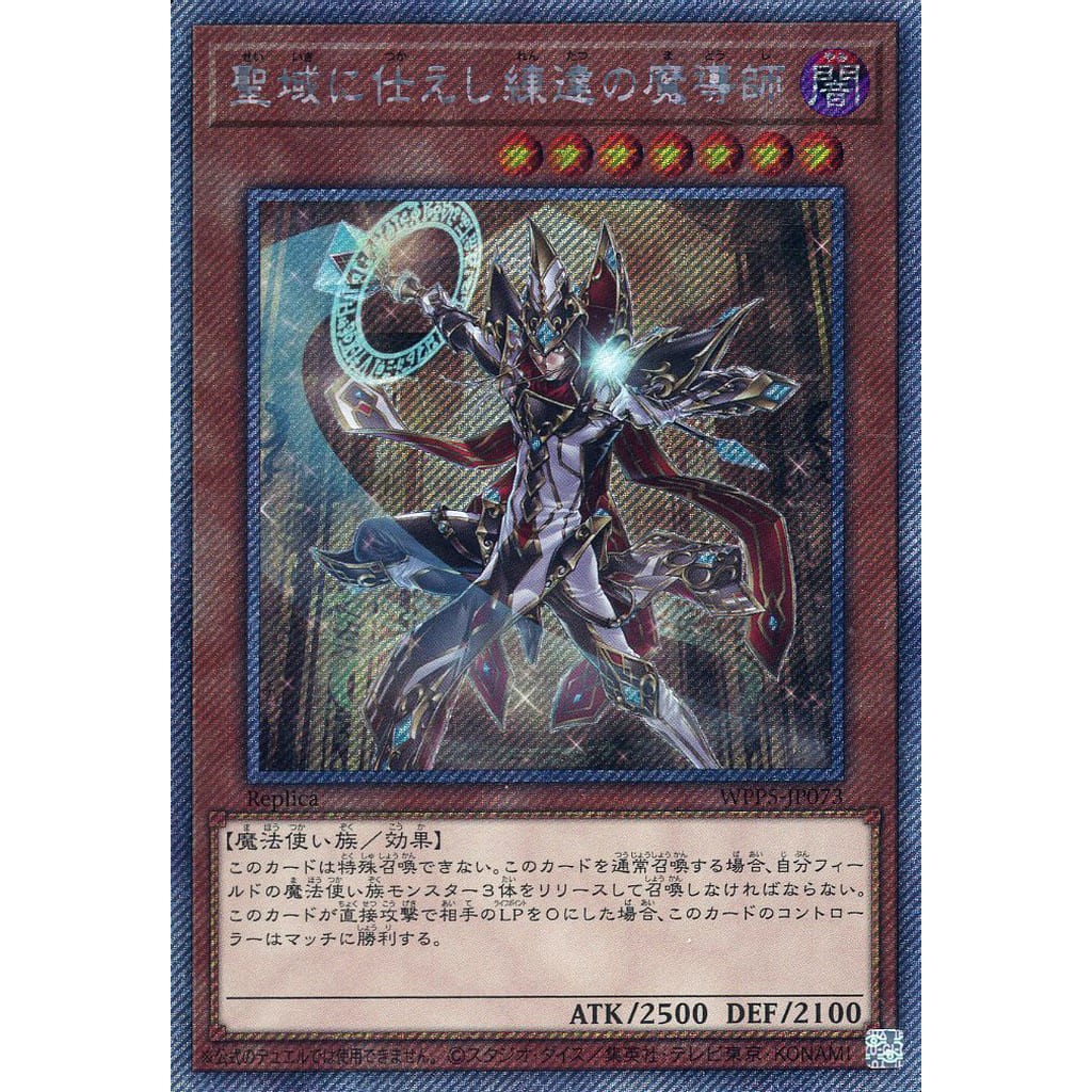 聖域に仕えし練達の魔導士　sa10 ☆アジア☆(未開封)聖域に仕えし練達の魔導師