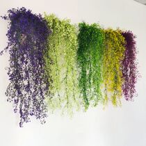 Simulation golden bell willow wall-mounted flower rattan plastic green plant wall chlorophyll fake flower pot planting dining living room kindergarten decorative flower