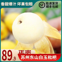 Cisfeng Shipping Suzhou Dongshan White Jade Loquat Jack 5 Catty Fresh Super