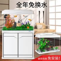 Jiabao ultra-white glass small fish tank living room small desktop home aquarium ecological water-free goldfish tank
