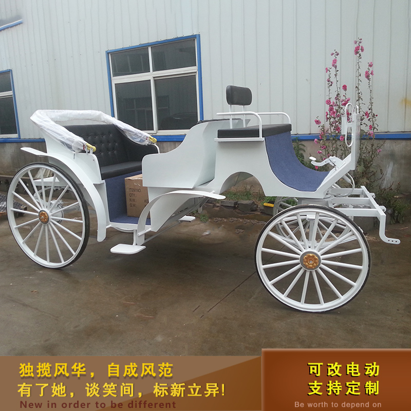 European sightseeing carriage to wedding photography carriage landscape area reception tourist electric carriage