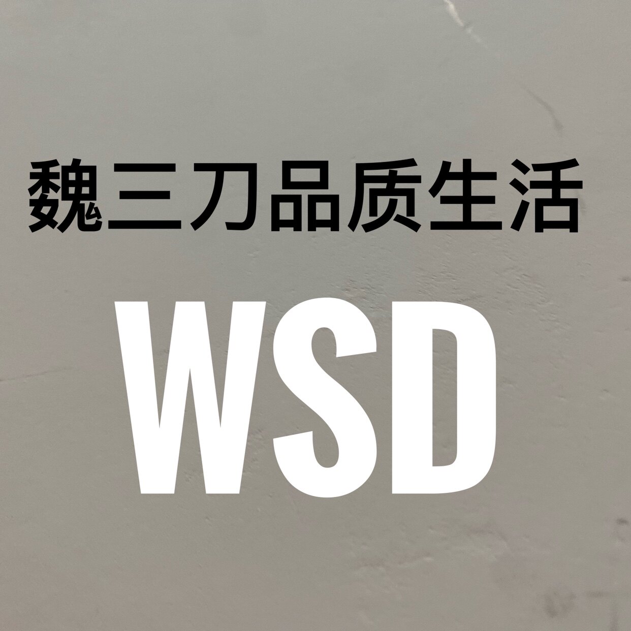 魏三刀品质生活