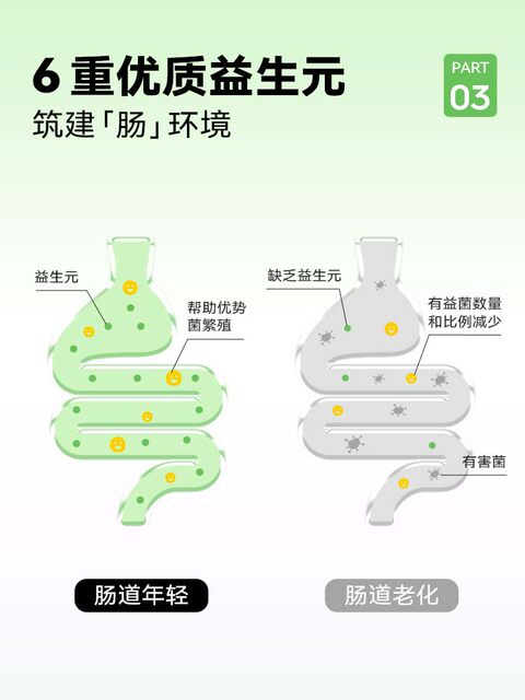 Wonderlab White Kidney Bean Dietary Fiber Powder Chia Seeds Big Meal Savior Official Flagship Store