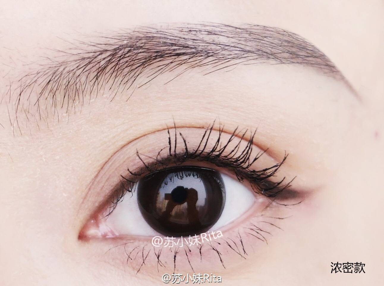 Tại chỗ! KOJI Dolly Wink Yiruo bản địa có cánh màu nâu chống bám dày - Kem Mascara / Revitalash chuốt mi 4d