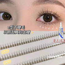 Beauty Mascara Makeup Artist Special Monthly Children Princess V Type Lower Eyelash Fake Eyelash A Type Supernatural Graft Sectional