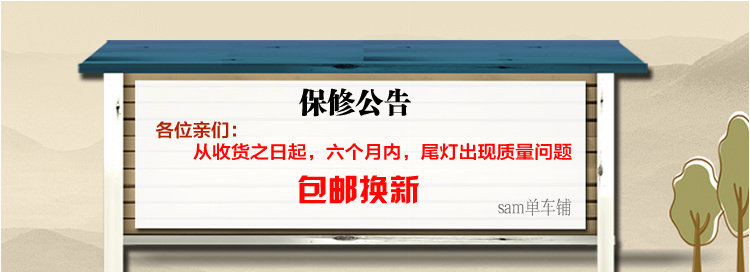 Eclairage pour vélo RACETOP - Taillights - Ref 2399818 Image 9