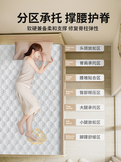 Latex Memory Foam Mattress Cushion Home Bedroom Children's Tatami Sponge Mat Single Student Dormitory Mattress