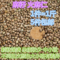 Hemp seeds hemp seeds a catty of small and medium-sized seeds 5kg