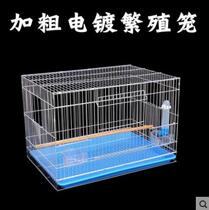 Special cage for the galvanic cage of the bird cage propagation cage