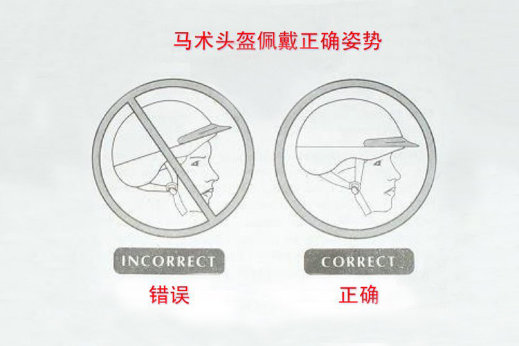 Article équitation BASLONG - Ref 1380527 Image 23