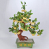 Ngọc chậu trong chậu cây bò trang trí cây phong phú may mắn tủ rượu trang trí đồ trang trí phòng khách đồ đạc trong nhà quà tặng tủ trang trí phòng khách Trang trí nội thất