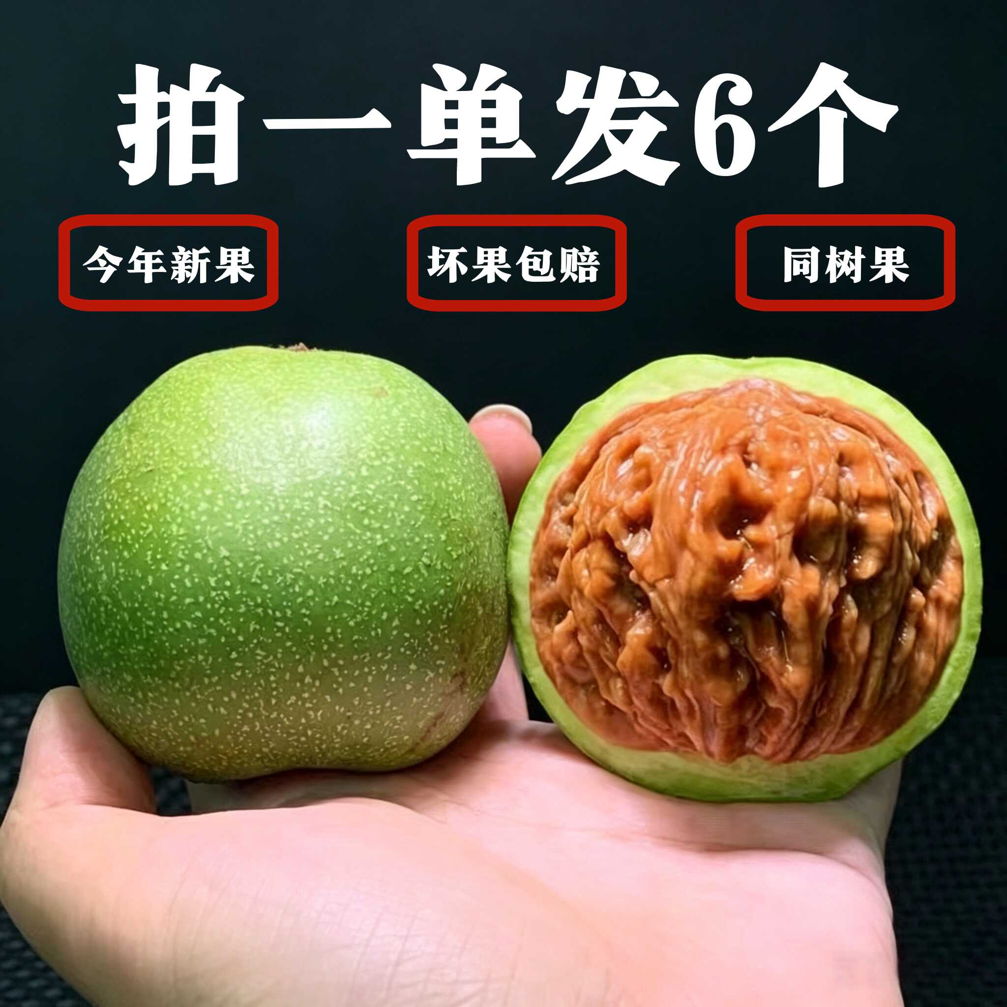 文玩核桃-新人首单立减十元-2026年7月|淘宝Taobao|天猫Tmall