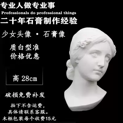 H28cm girl plaster Avatar sketch sketch sketch art teaching aids model character still life ornate portrait sculpture