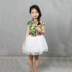 Cô gái symnos mùa hè 2020 bé chiếc váy bé cổ tích công chúa váy trẻ em Tang váy trẻ em cho thấy quần áo. 