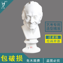 Hongbo plaster like Voltaire gypsum teaching aids mold sketch still life sketching art teaching aids Avatar factory direct sales