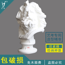 Hongbo Marseille plaster image teaching aids sketch still life sketching art teaching aids head bust factory direct sales