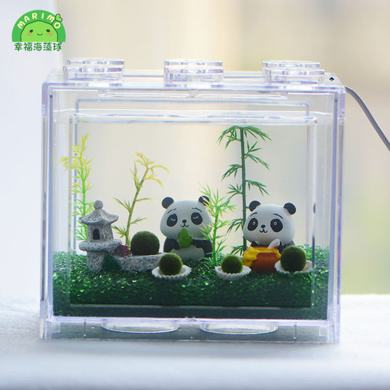 Happy seaweed ball marimo hydroponic micro-landscape ecological bottle desktop fish tank creative DIY fun plant gift