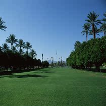 The scenic view of the character is written true 001