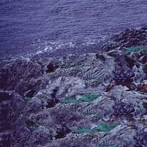 The scenic view of the character is written true 001