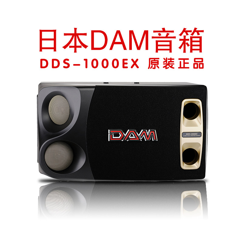 dam dds-1000ex 10 inch professional karaoke conference room audio home KTV card bag speaker pair
