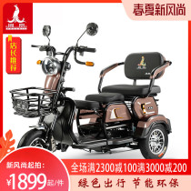 Phoenix electric tricycle household small pick-up children new battery car electric leisure car adult scooter