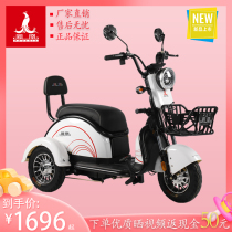 Phoenix household small electric tricycle Lightweight mini adult old age walker with children