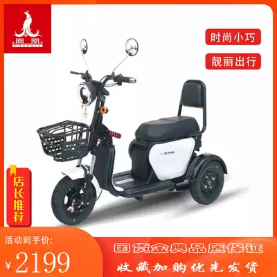 Phoenix mini electric tricycle household small pick-up and drop-off children and the elderly pull goods new closed with shed electric car