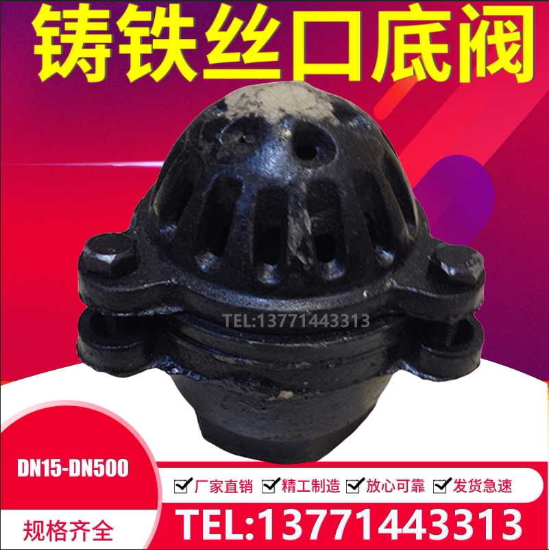 Cast iron wire bottom l valve Water pump sole valve Lifting and drop wire buckle inner thread absorption valve H12X-2 5 DN15