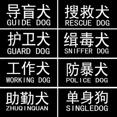 Dog clothes copybook custom logo German horse dog Spinger clothes special copybook