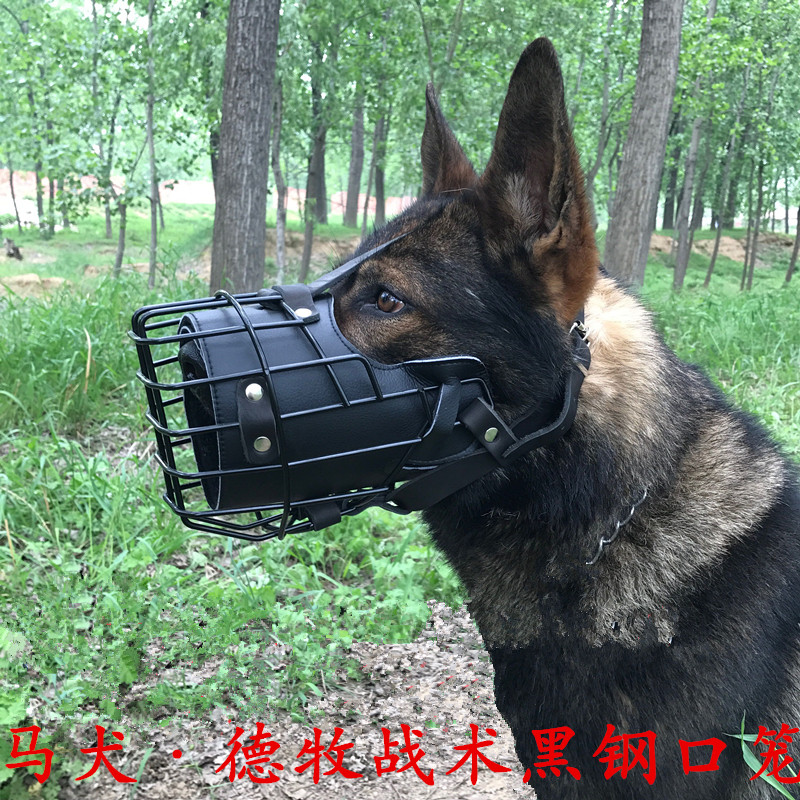 Training dog equipped US black steel dog with tactical mouth cage East German horse dog mask mouth cage impact real fight