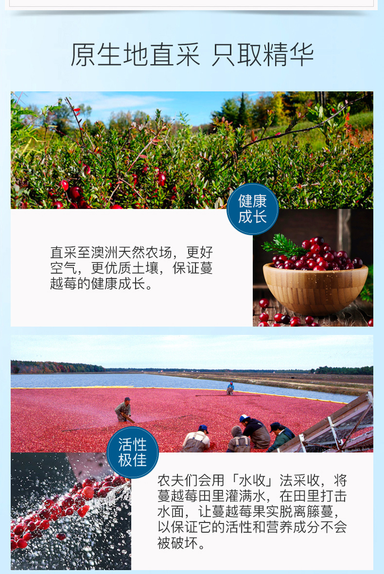 Chăm sóc sức khỏe Viên nang Cranberry Aussie Essentials Viên nang Sản phẩm chăm sóc da buồng trứng Sản phẩm chăm sóc sức khỏe phụ nữ - Thức ăn bổ sung dinh dưỡng viên uống dầu cá