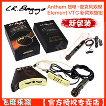 L R Baggs Anthem Element VTC guitar piezoelectric microphone Lowden