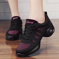 006 Черно -красная лостота летает