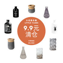(Special vase)LIMlife Nordic fresh small vase Ceramic glass hydroponic vase Home decoration