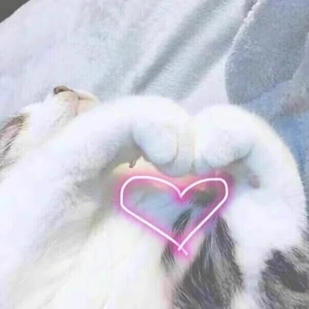 多吃西瓜