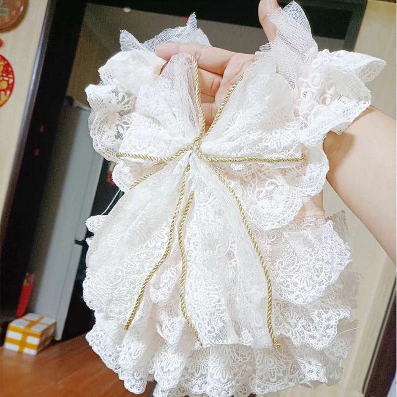 Dog Clothes Spring and Summer Thin Style Cat Princess Dress Wedding Dress Lace Fairy Style Small Dog Teddy Pet