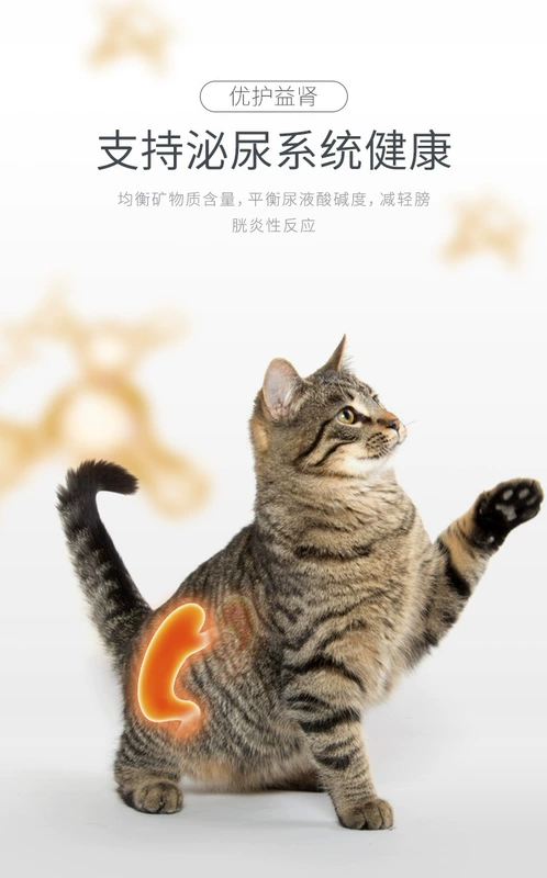 Thức ăn cho mèo con điên / làm đẹp cho mèo dành cho người lớn mèo đặc biệt dành cho người lớn thức ăn chủ yếu để loại bỏ vết nước mắt Mèo xanh Anh ngắn 1,5kg - Cat Staples