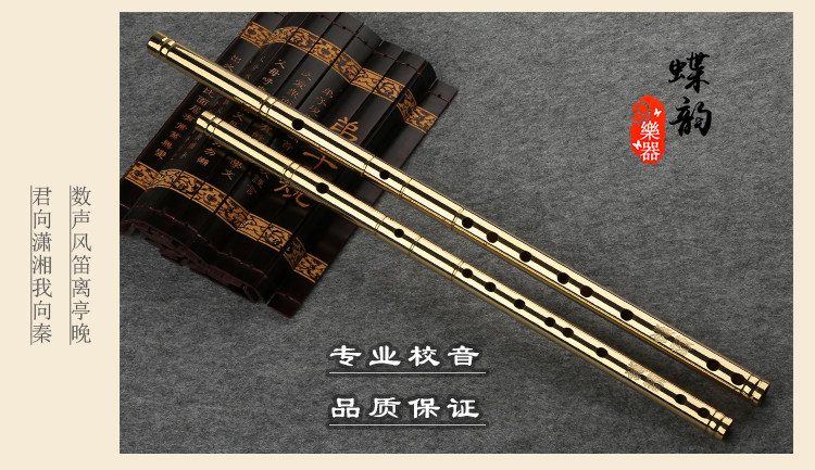 Brass sáo bướm vần người mới bắt đầu nhập không cơ bản chuyên nghiệp chơi sáo kim loại dày nhạc cụ tinh khiết sáo đồng sáo trúc - Nhạc cụ dân tộc đàn bầu