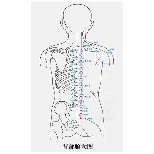 Вакуумное устройство 12 может накачать домашние костюмы сгущенной чашки для кумин