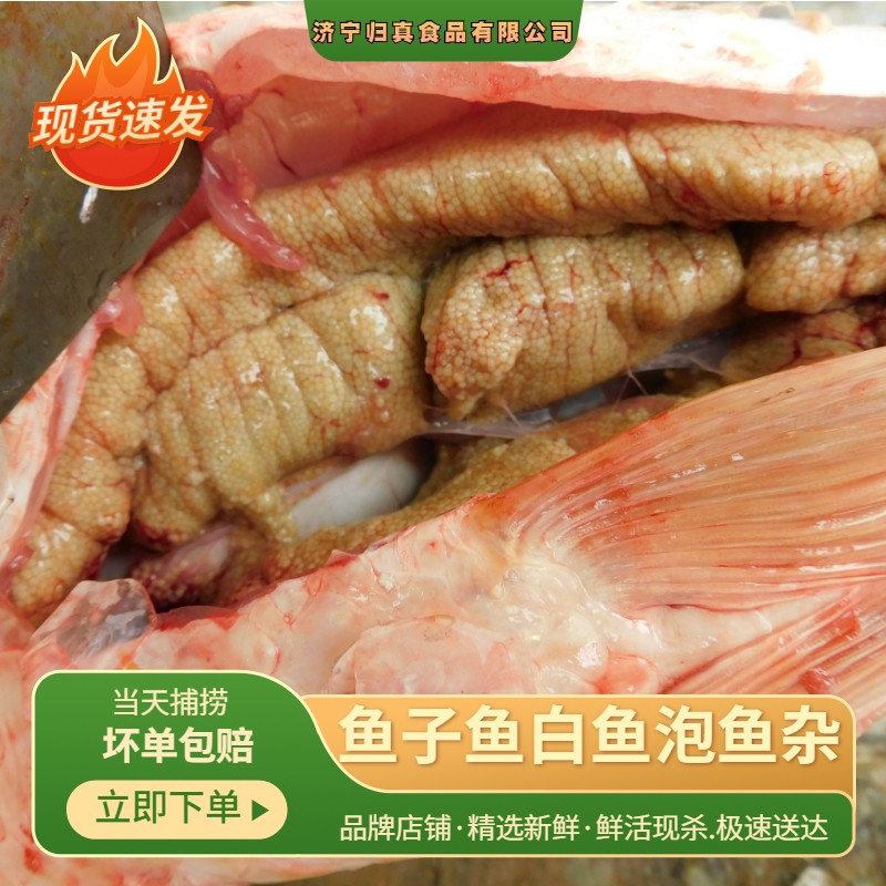 Fish Fish Eggs Sauce Fresh Frozen Fish Eggs Fish Egg Fish Fish Oil Fish White Three Catfish