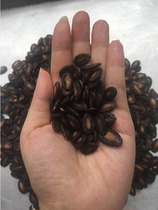 Wuyi Shan Melon Seeds Year Stock Fried Goods Casual Snacks Salty Taste Nuts Fried Goods Tasty And Good Guaizi