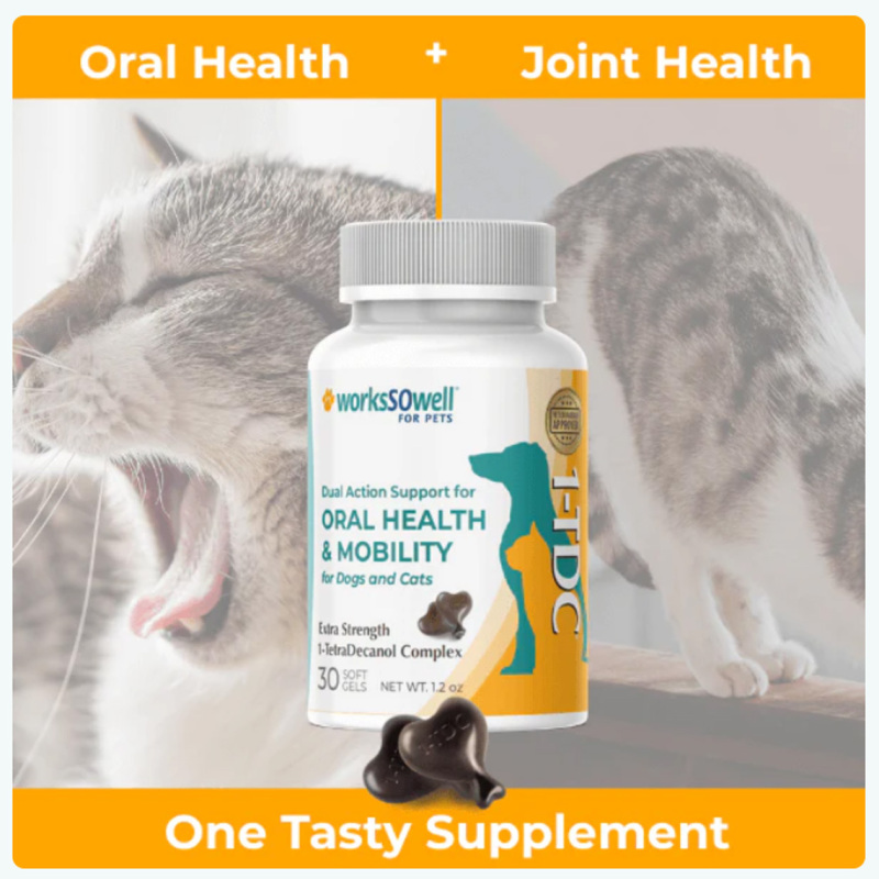 American 1Tdc One-Dose Product for Dogs and Cats with Stomatitis, Hip Joint Muscle, Red and Swollen Gums, Pet Dog Endurance Recovery, and Coat Beautification