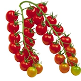 Семена томатов с водопадом четыре сезона бабушка фрукты весна маленькие томатные семена тысячелетия сезоны для горшечного растения шинхога овощи